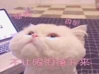 上海而萨而网络科技有限公司
