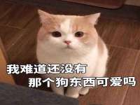 上海而萨而网络科技有限公司