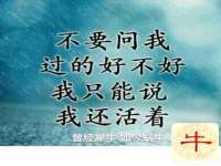 上海而萨而网络科技有限公司