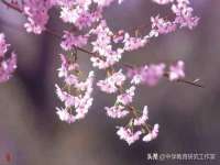 上海而萨而网络科技有限公司