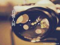 上海而萨而网络科技有限公司