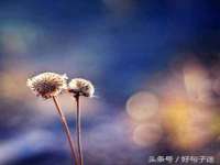 上海而萨而网络科技有限公司