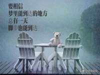上海而萨而网络科技有限公司