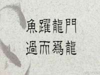 上海而萨而网络科技有限公司