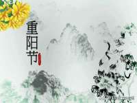 上海而萨而网络科技有限公司