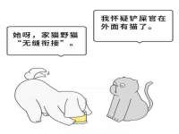 上海而萨而网络科技有限公司