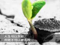 上海而萨而网络科技有限公司