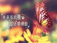 上海而萨而网络科技有限公司