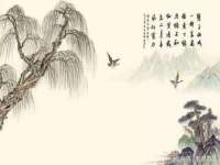 上海而萨而网络科技有限公司