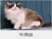上海而萨而网络科技有限公司