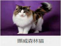 上海而萨而网络科技有限公司