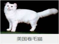 上海而萨而网络科技有限公司