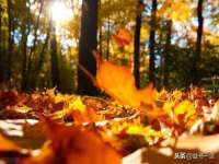 上海而萨而网络科技有限公司