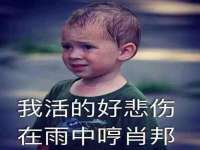上海而萨而网络科技有限公司