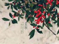 上海而萨而网络科技有限公司