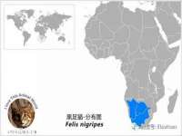上海而萨而网络科技有限公司