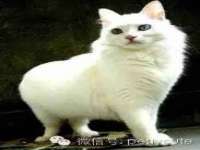 上海而萨而网络科技有限公司