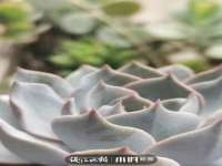 上海而萨而网络科技有限公司