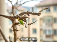 上海而萨而网络科技有限公司