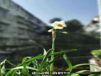上海而萨而网络科技有限公司