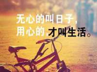 上海而萨而网络科技有限公司