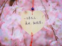 上海而萨而网络科技有限公司