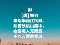 上海而萨而网络科技有限公司