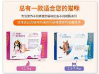 上海而萨而网络科技有限公司