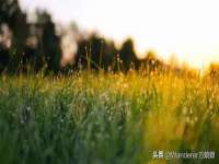 上海而萨而网络科技有限公司