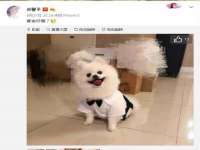 上海而萨而网络科技有限公司