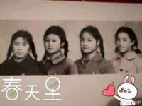 上海而萨而网络科技有限公司
