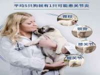 上海而萨而网络科技有限公司