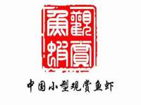 上海而萨而网络科技有限公司