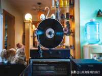 上海而萨而网络科技有限公司
