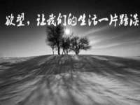 上海而萨而网络科技有限公司