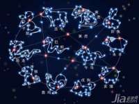 上海而萨而网络科技有限公司