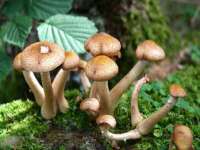 上海而萨而网络科技有限公司