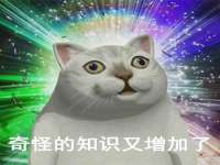 上海而萨而网络科技有限公司