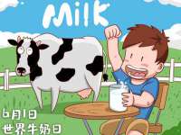 上海而萨而网络科技有限公司