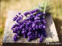 上海而萨而网络科技有限公司