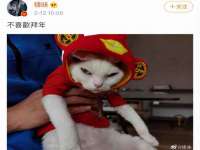 上海而萨而网络科技有限公司