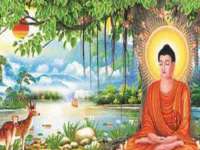 上海而萨而网络科技有限公司