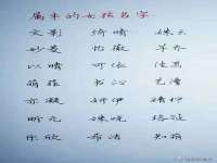 上海而萨而网络科技有限公司